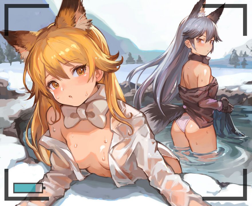 Kemono Friends - Silver Fox 194