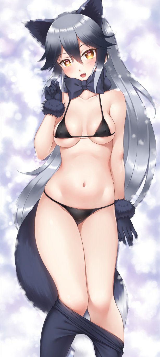 Kemono Friends - Silver Fox 195