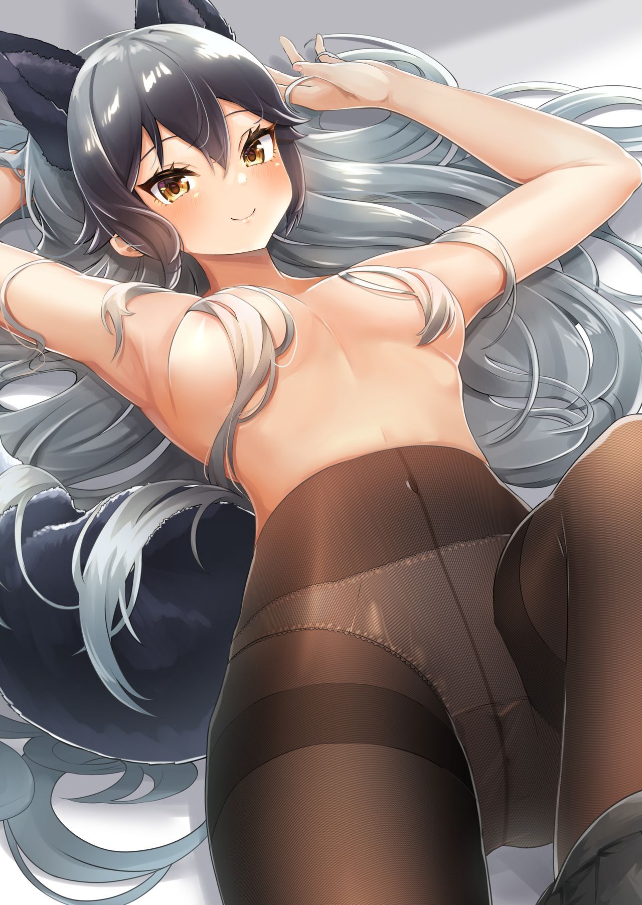 Kemono Friends - Silver Fox 2