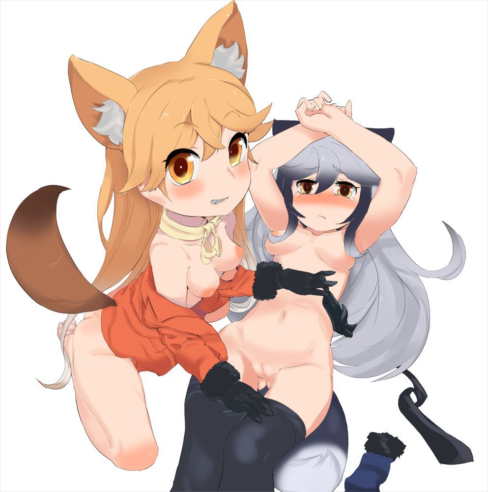 Kemono Friends - Silver Fox 286