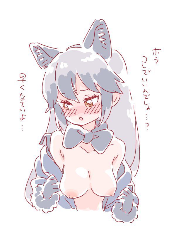 Kemono Friends - Silver Fox 333