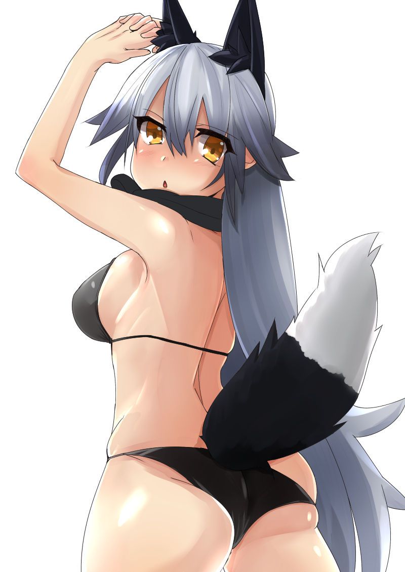 Kemono Friends - Silver Fox 337