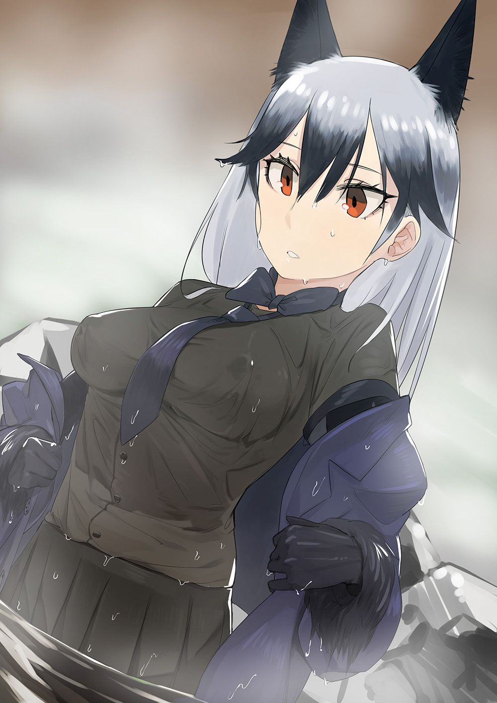 Kemono Friends - Silver Fox 340