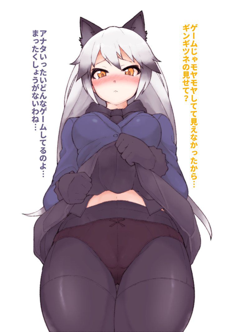 Kemono Friends - Silver Fox 347