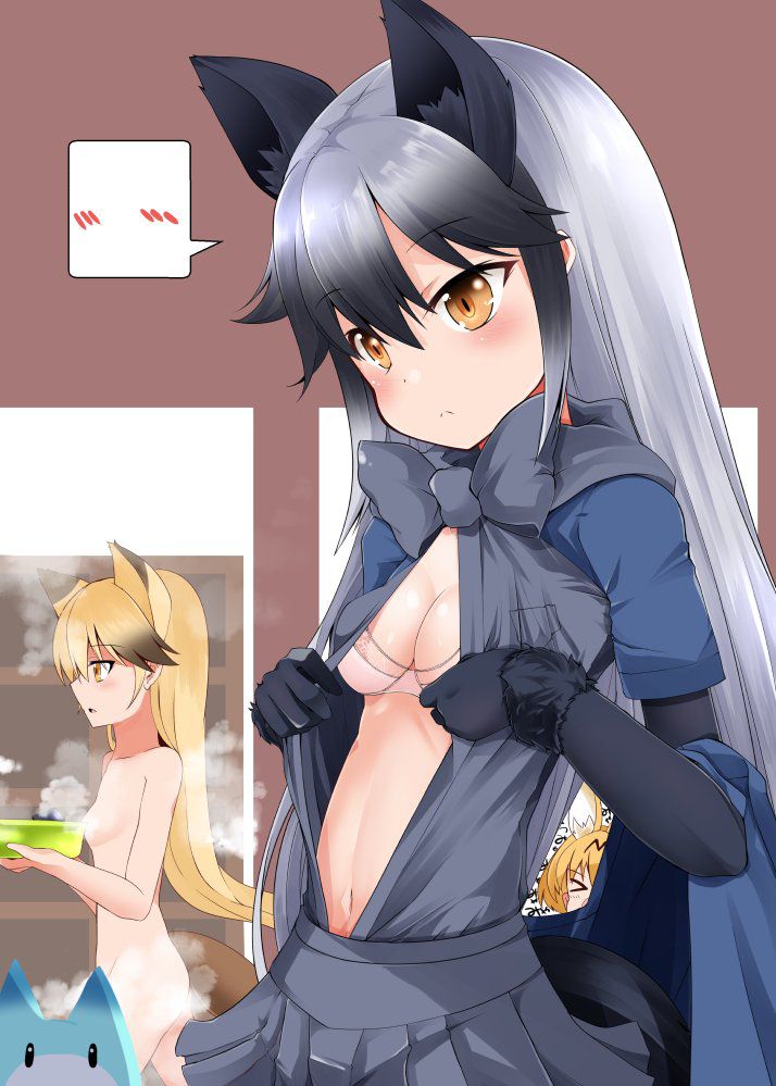 Kemono Friends - Silver Fox 353