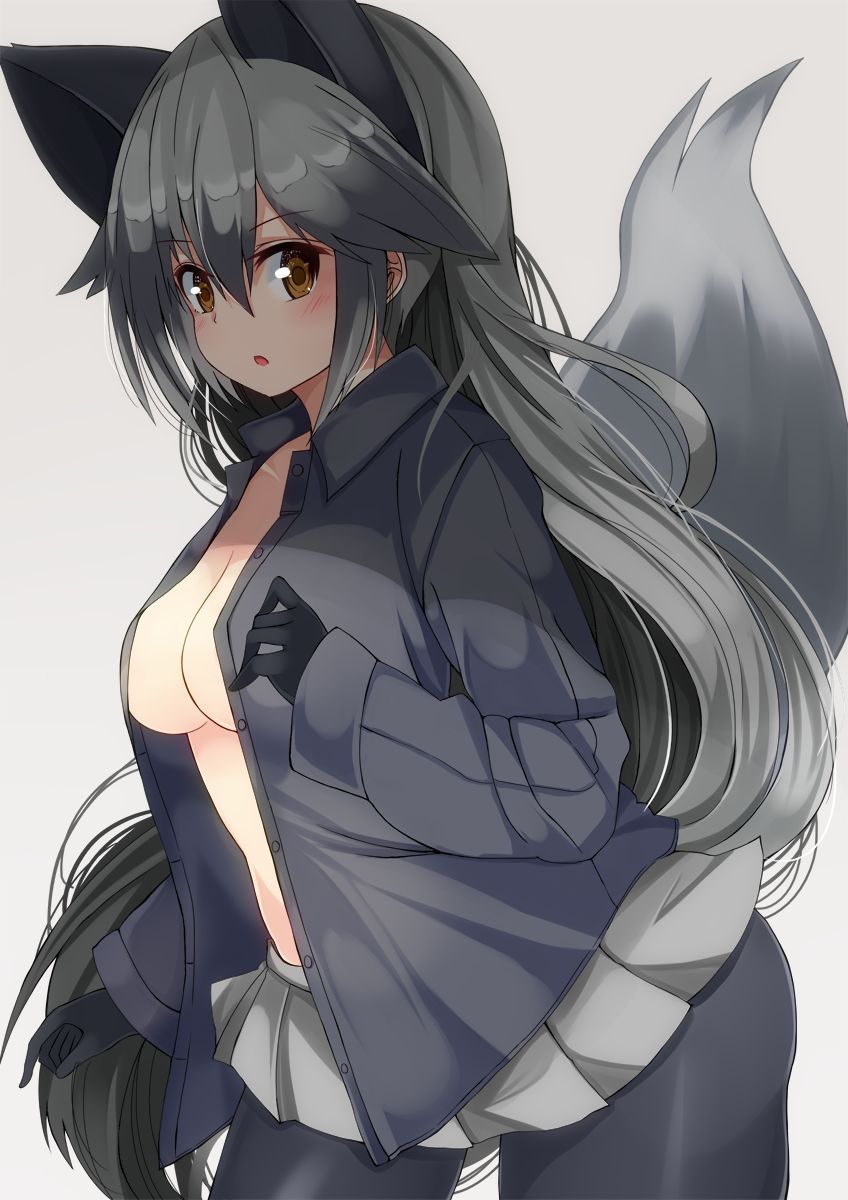 Kemono Friends - Silver Fox 359