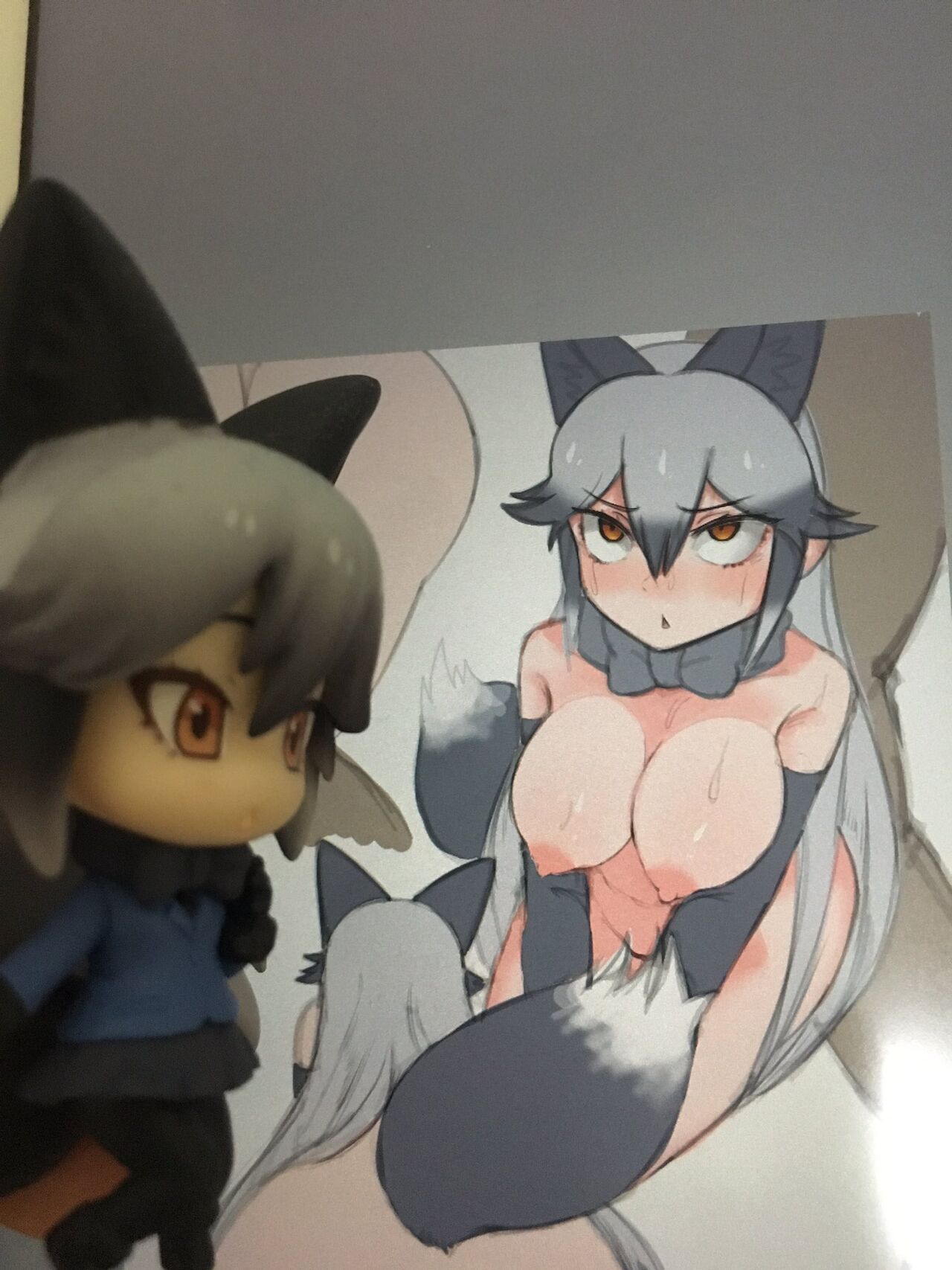 Kemono Friends - Silver Fox 54