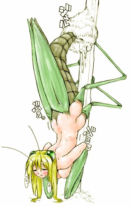 [Diplomat] insects daughter of lewd erotic pictures 3 7