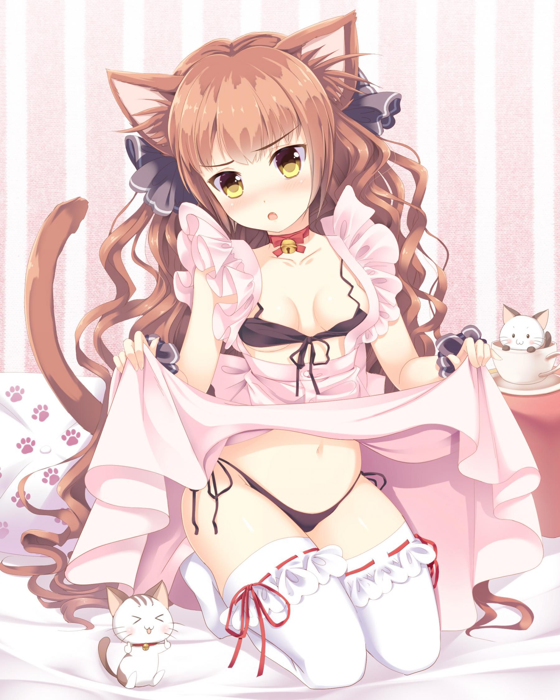 [Secondary] that wonderful cat ears up again [images] part 10 31