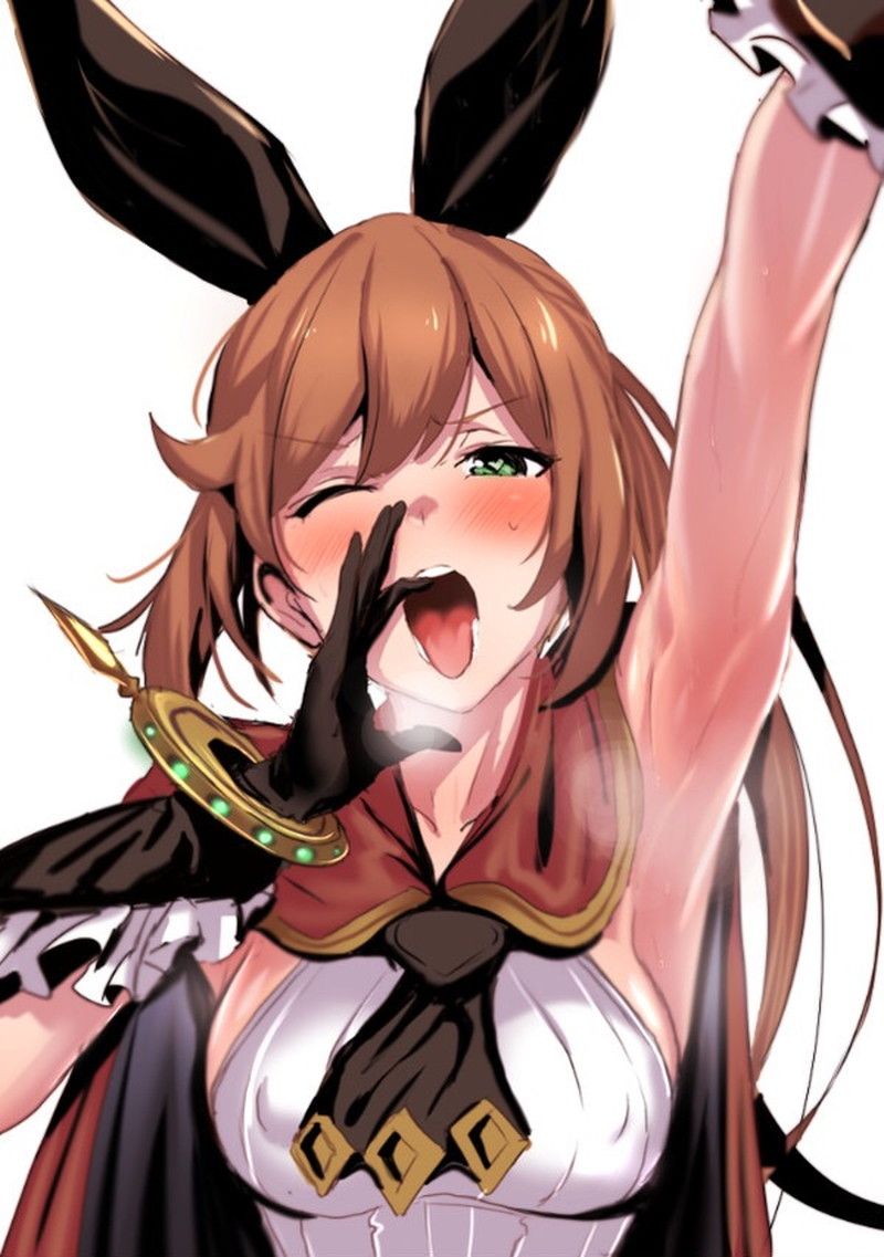 【Secondary Erotic】 Erotic image of Clarisse appearing in Gran Blue Fantasy is here 5