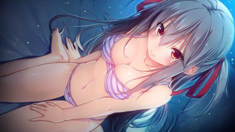 【Erotic Anime Summary】 Erotic image of a naughty girl in underwear with no doubt of immediate erection 【Secondary erotic】 29