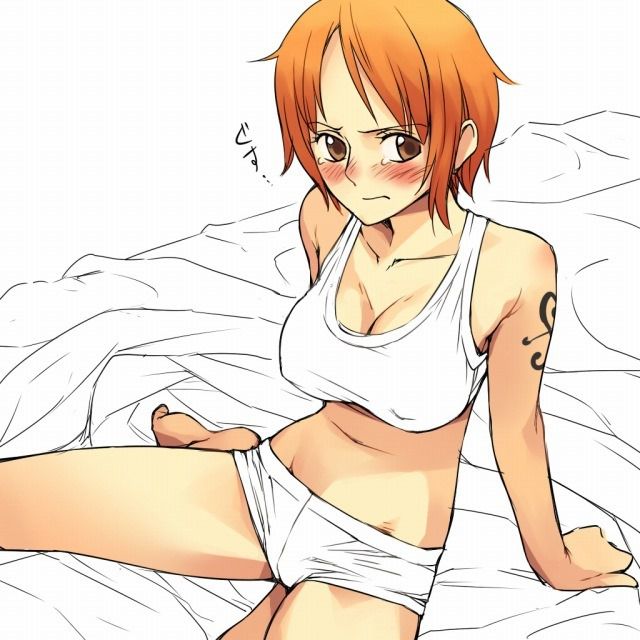 One piece NAMI's erotic pictures 10