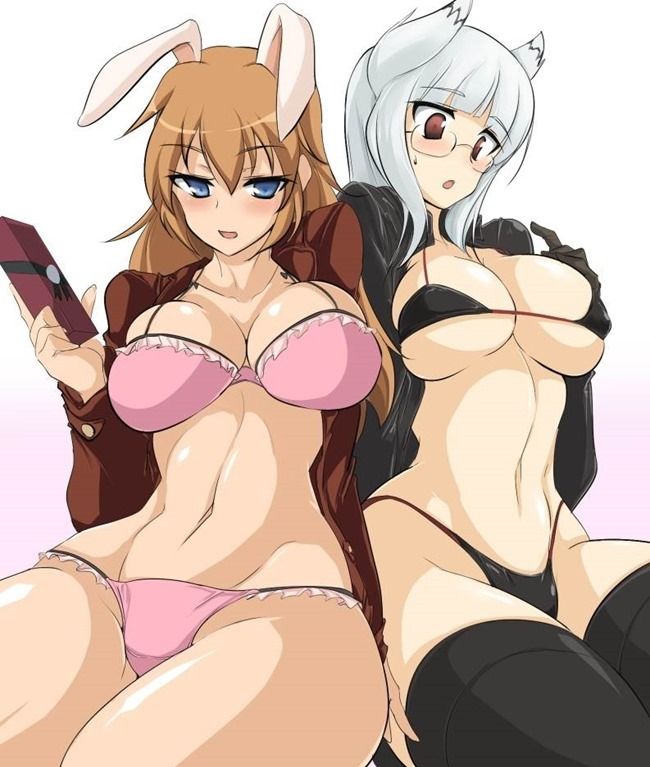 [Stepan] strike witches hentai pictures part2 1