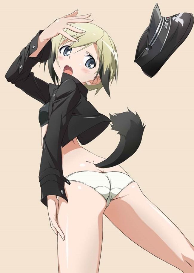 [Stepan] strike witches hentai pictures part2 12