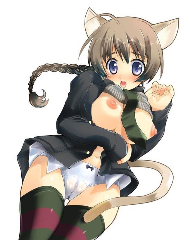 [Stepan] strike witches hentai pictures part2 26