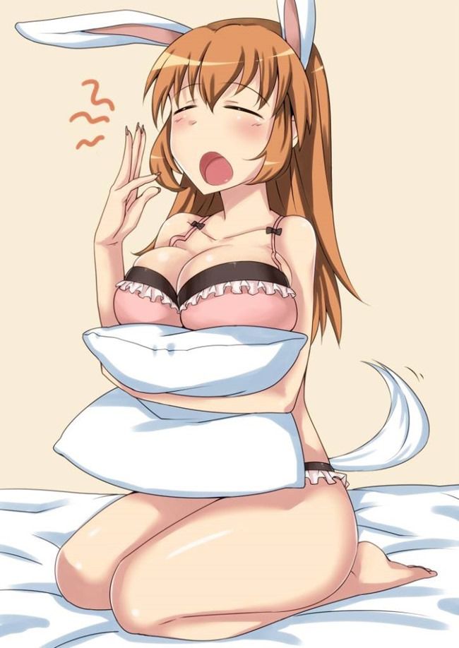 [Stepan] strike witches hentai pictures part2 48