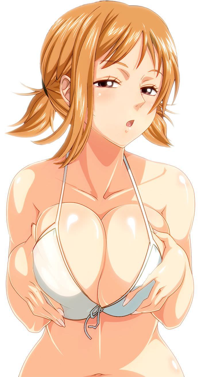 [One piece] hair, 二 yuibashi one of NAMI hentai CG, hentai pictures! 1