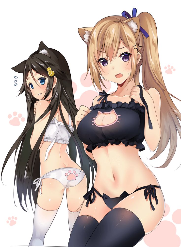 For example the cat became a topic of conversation on Twitter secondary image of lingerie! 37