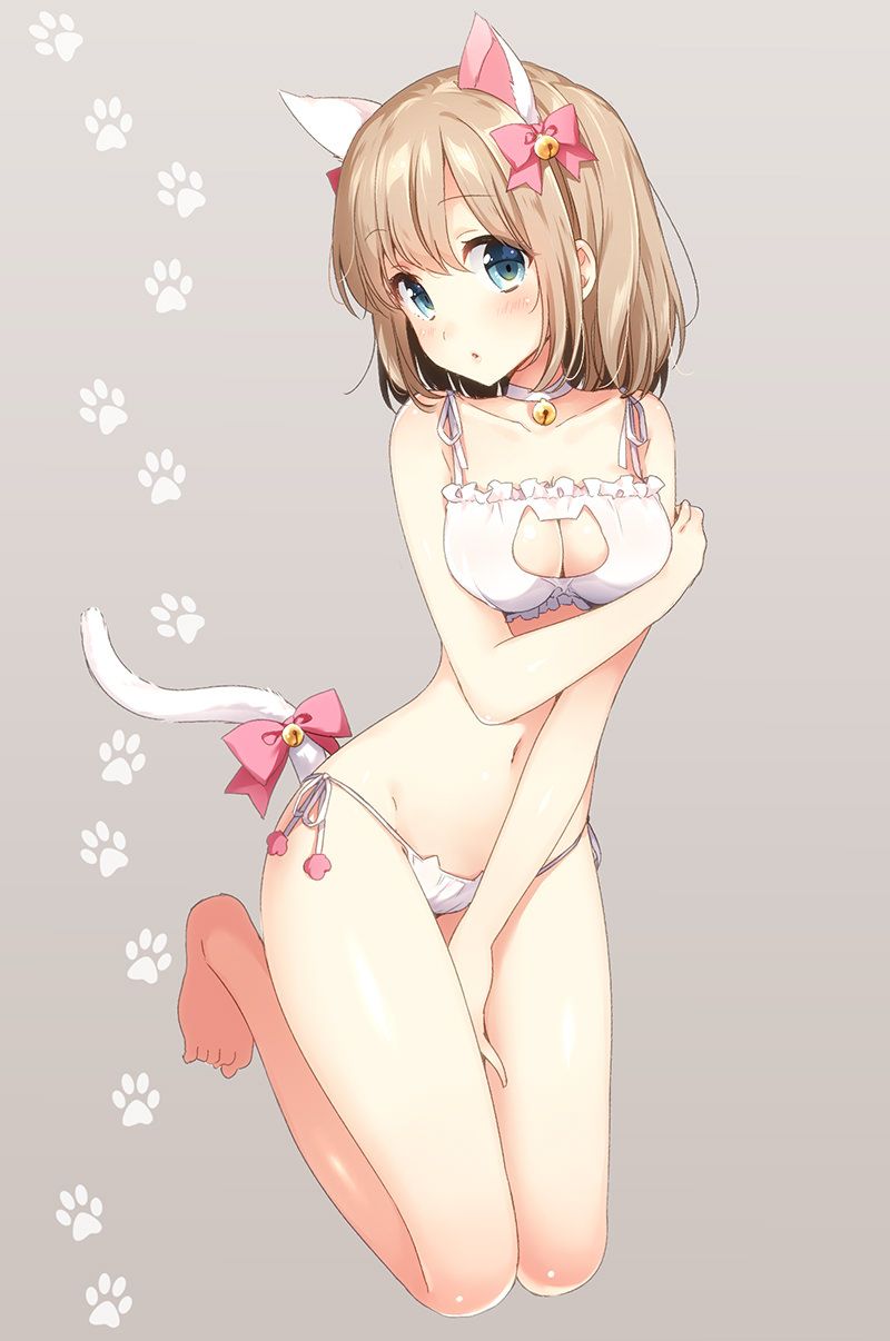 For example the cat became a topic of conversation on Twitter secondary image of lingerie! 4