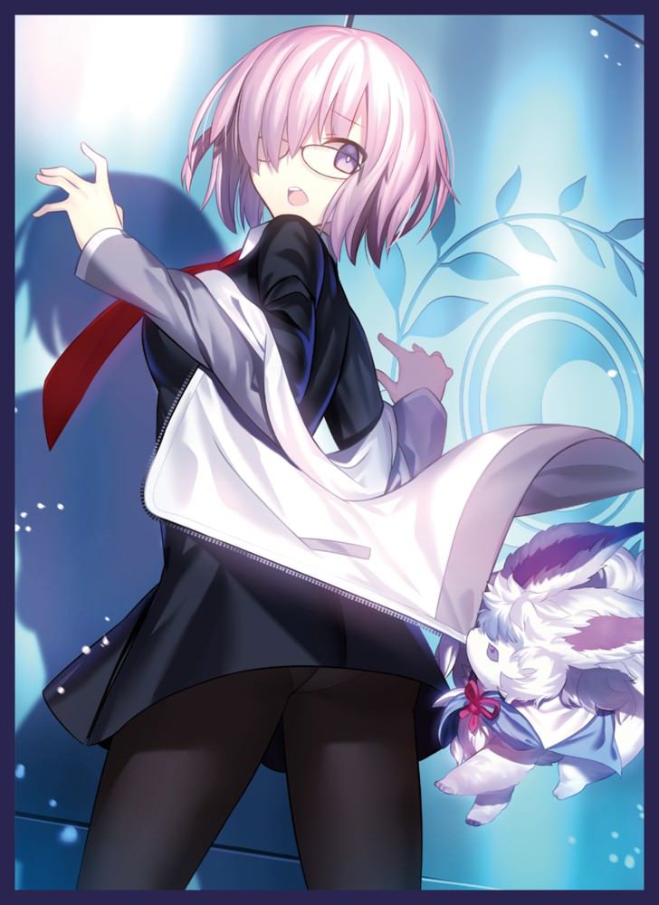 [fateGO] junior series heroine, the Maschsee-Chan kawaii ERO images! 23