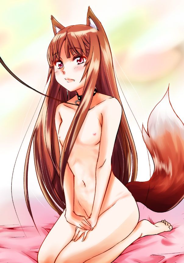 [Spice and Wolf] holo erotic pictures part 6 1