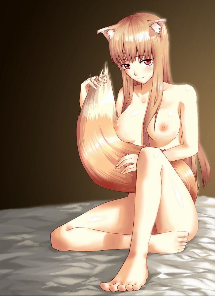 [Spice and Wolf] holo erotic pictures part 6 11