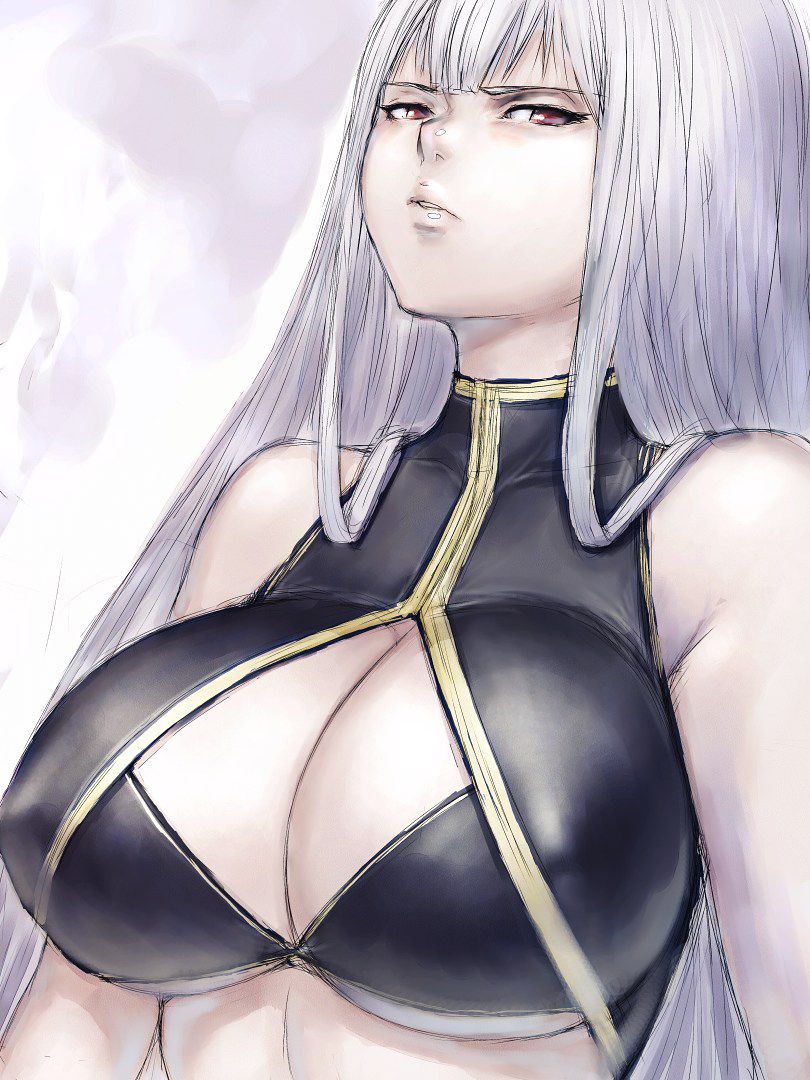 [Valkyria Chronicles] selvaria BLES erotic pictures part 1 11