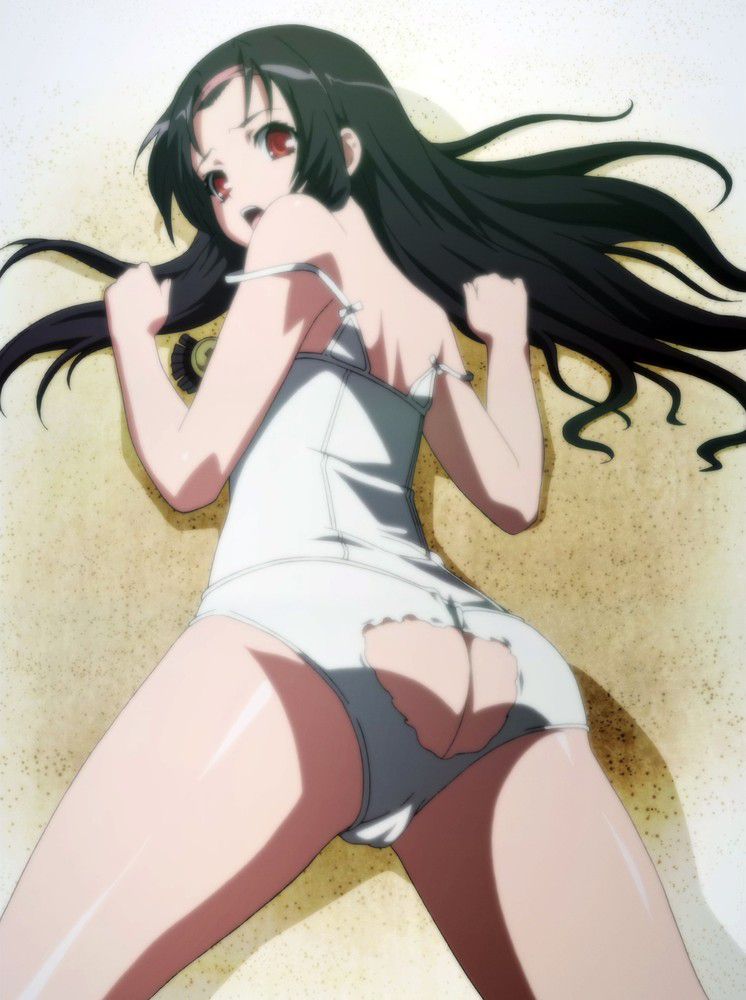 [Hyakka ryouran Samurai girls] Sanada Yukimura erotic pictures part 1 19