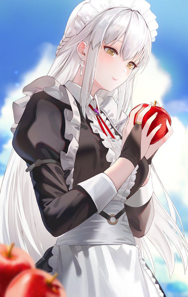 【Secondary】Silver-haired and white-haired girl image Part 27 8