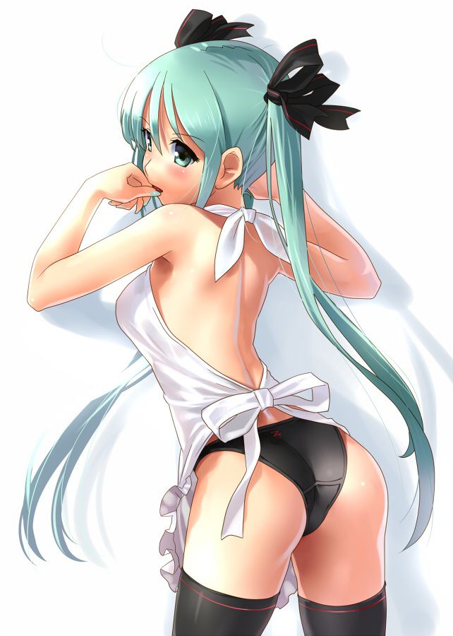 [Vocaloid] hatsune miku hentai pictures 19 12