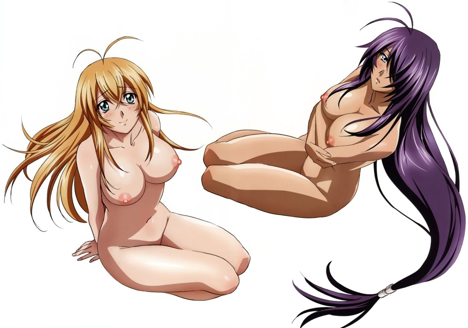 Ikki Tousen stripped Photoshop part 4 5