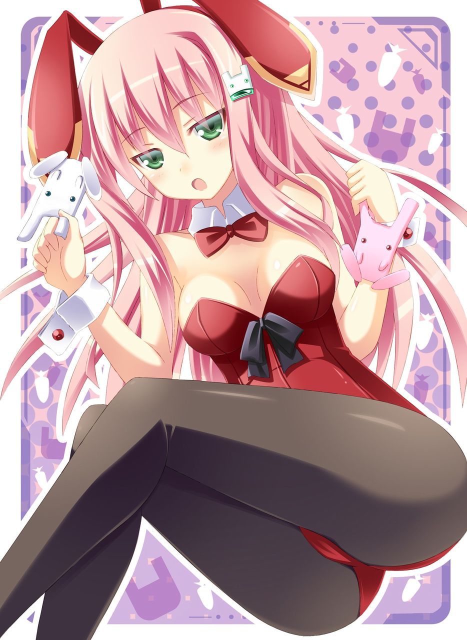 [2次] 2: erotic pictures erotic cute Bunny Bunny 16 2
