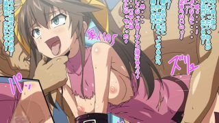 Summary of secondary erotic images of Infinite Stratos 1