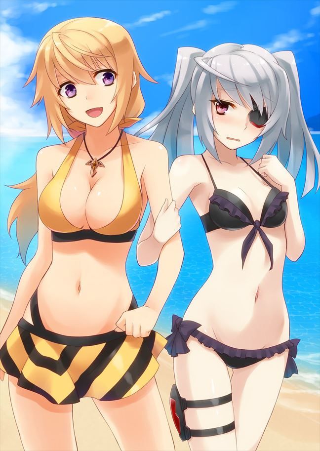Summary of secondary erotic images of Infinite Stratos 10