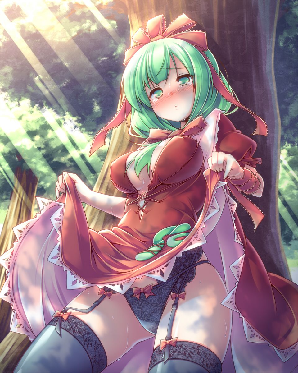 [touhou] hina kagiyama [東方] 鍵山雛 2