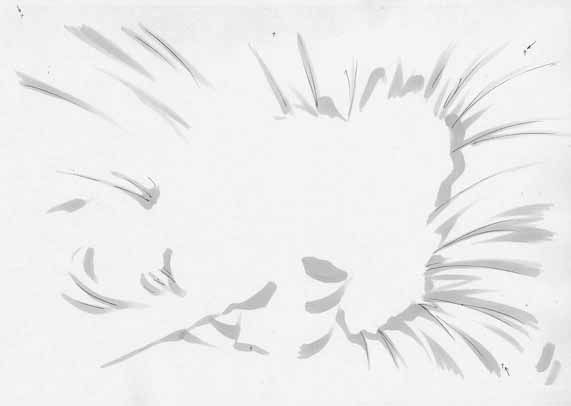 artist: Orimiya Mai (puriori-soft) / character sheet drawings for [Gage] Bishoku (pc game) 230