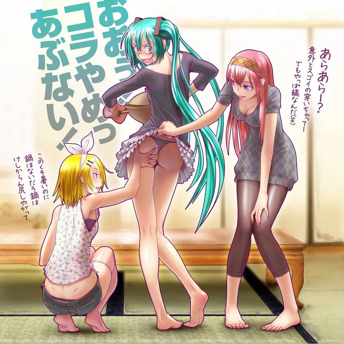 [Secondary Elo: why collect erotic images of vocaloid! 3