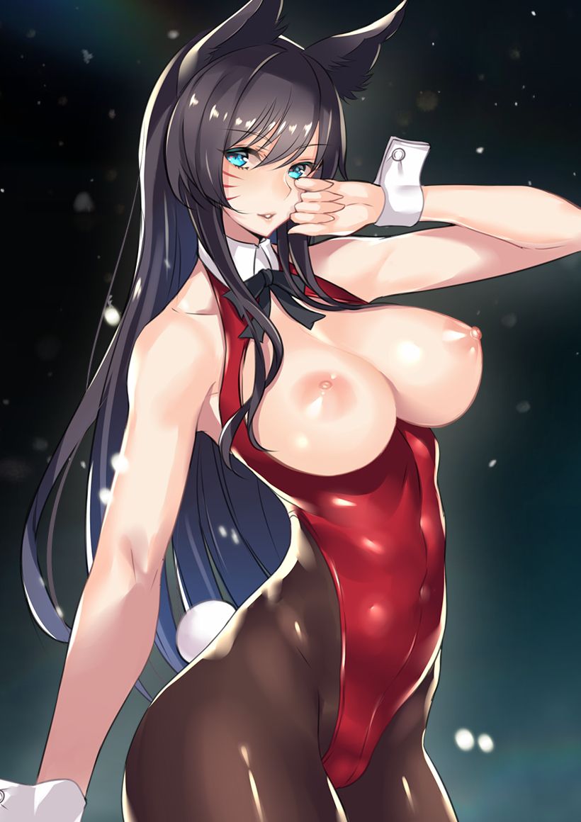 【Erotic Anime Summary】 Erotic images of beautiful girls with beautiful breasts 【50 photos】 44