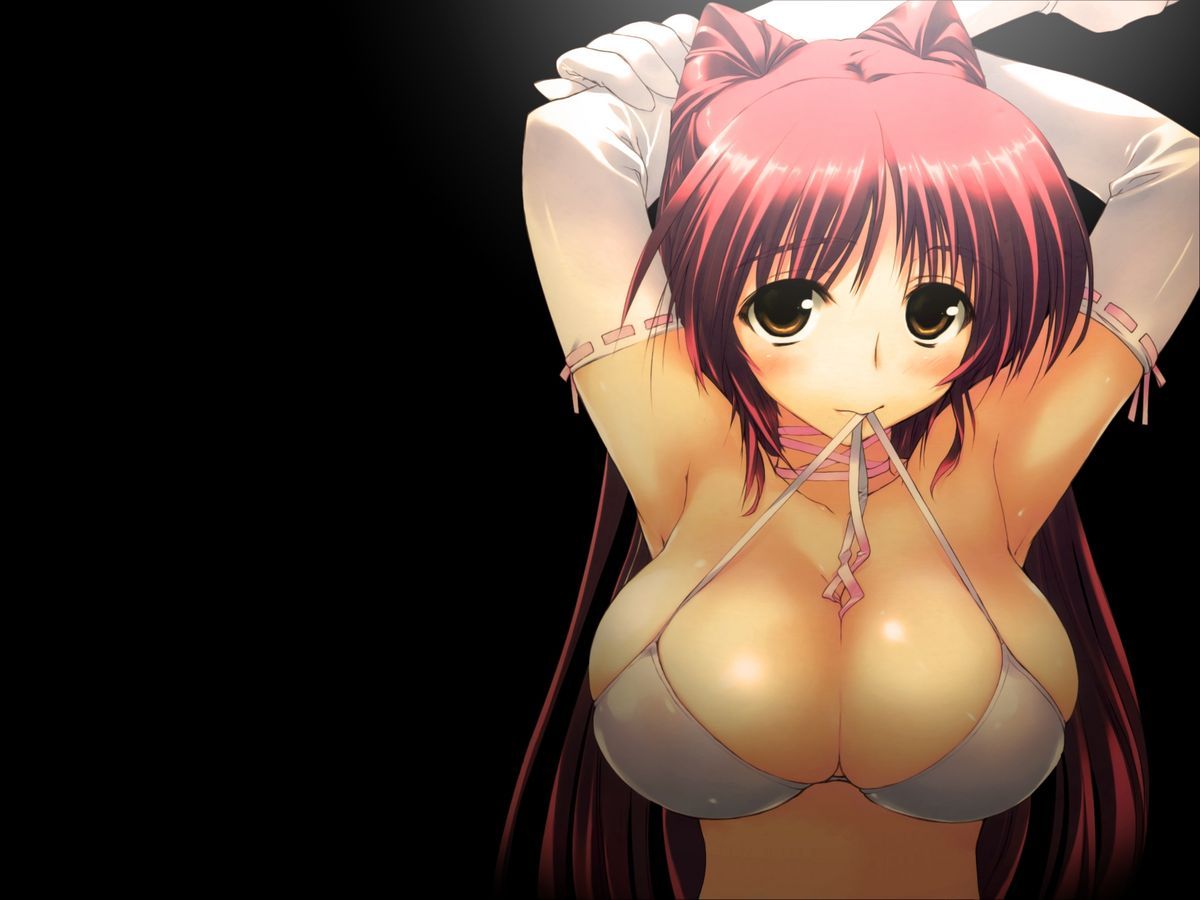 Ecchi wallpapers III 25