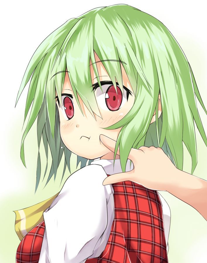 [2次] Yu Karin that kazami yuuka's secondary image [touhou] 4