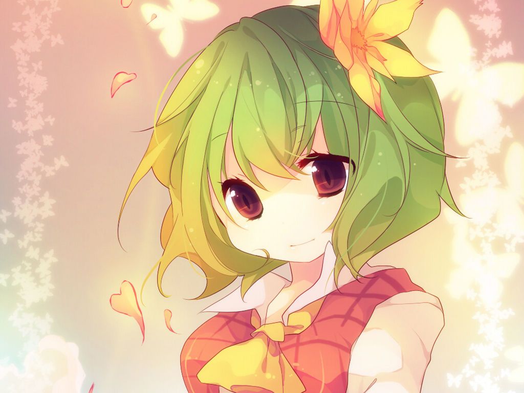 [2次] Yu Karin that kazami yuuka's secondary image [touhou] 8