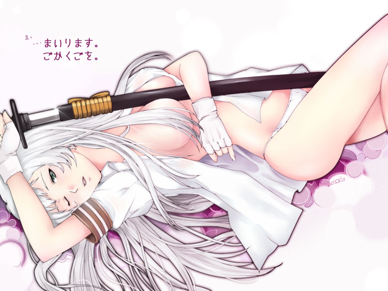 Gallery Hentai By Roger Silver Fox - Chouun Shiryuu - Ikkitousen 3