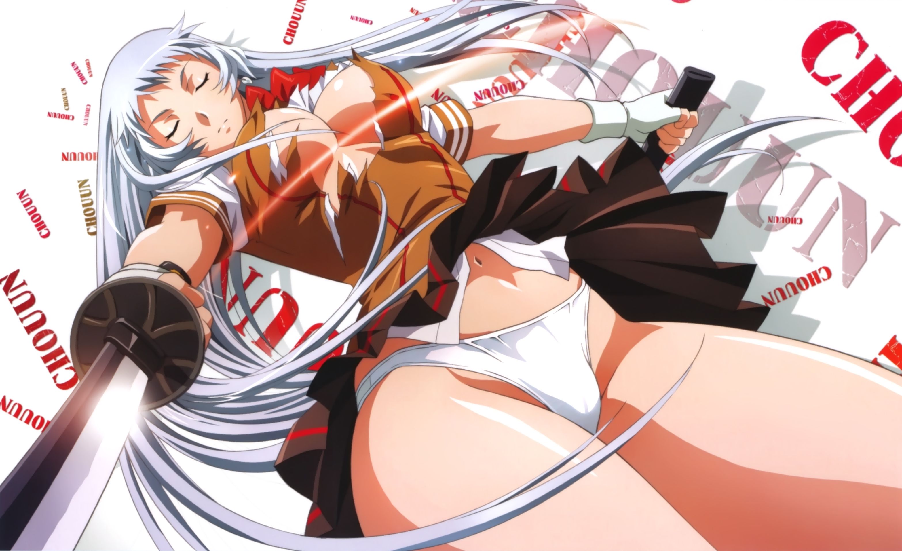 Gallery Hentai By Roger Silver Fox - Chouun Shiryuu - Ikkitousen 6