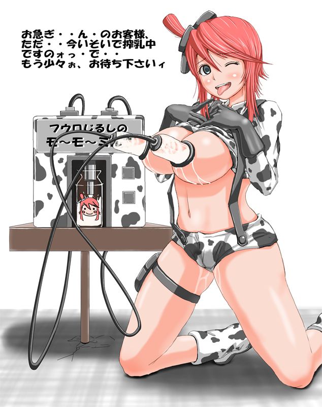 Milking Machine 29