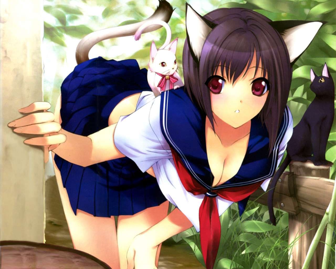 Ecchi wallpapers 6 45