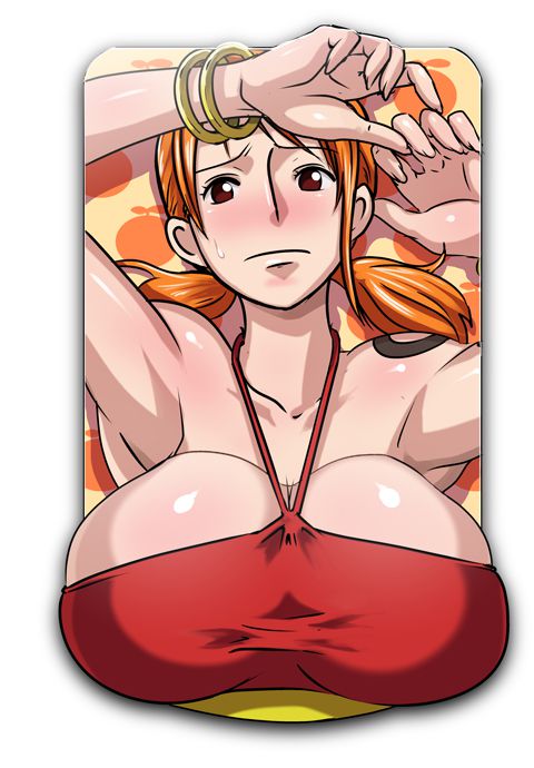 one piece nami 21