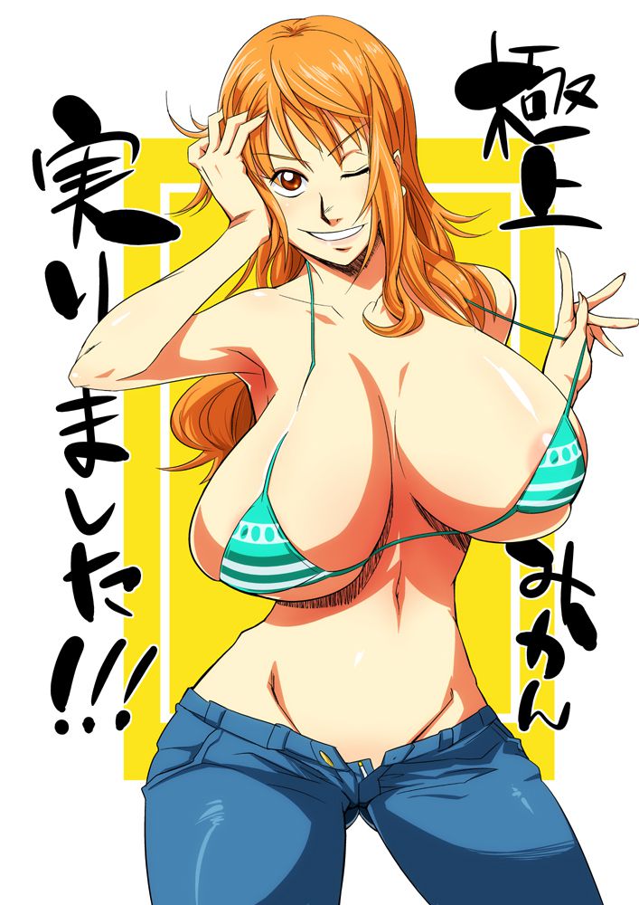 one piece nami 29