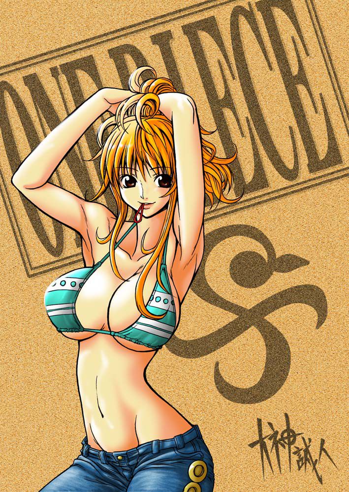 one piece nami 6