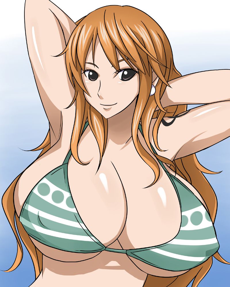 one piece nami 9