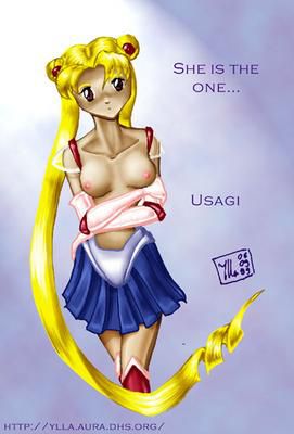 Sailor Moon (Serena Tsukino) 17
